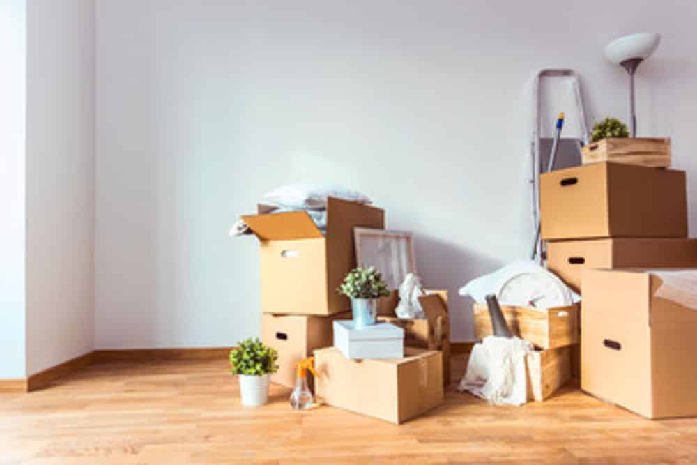 Move-In/Move-Out Cleaning Services image